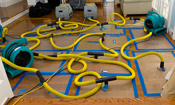 Professional Sewage Cleanup technician working in Riverdale, MI